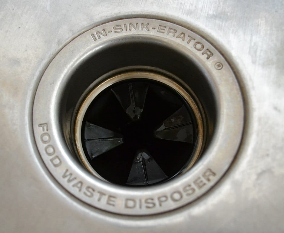 Items That Should Never Go Down Your Garbage Disposal