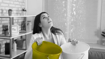 The Hidden Dangers of Leaking Water in Your Home